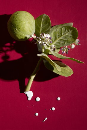 PŘÍRODNÍ BOTOX Intenzivní celonoční maska 50ml